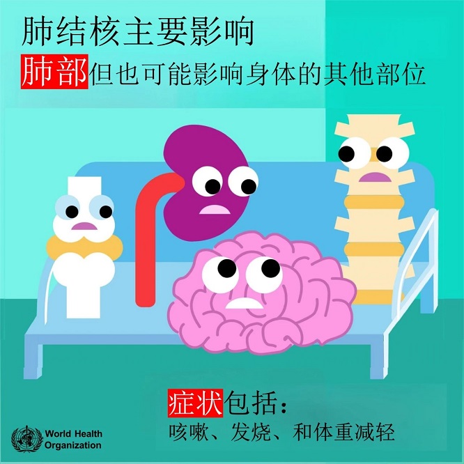 681c6bab63788.jpg